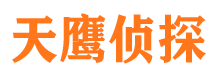 萨迦侦探公司